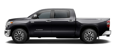TUNDRA ESPANOL