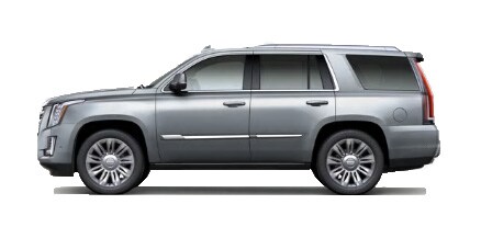 Escalade 13.jpg