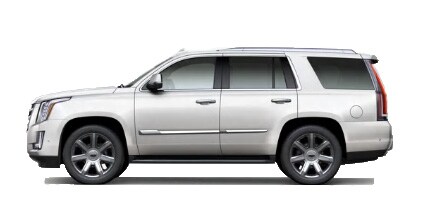 Escalade 10.jpg