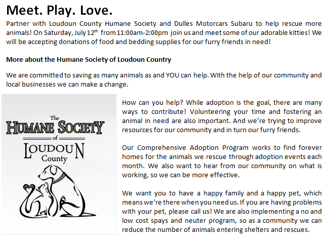 Meet.Play.Love.Cat Adoption Day