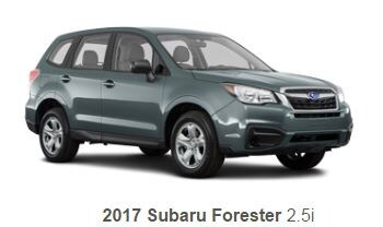 Forester.JPG