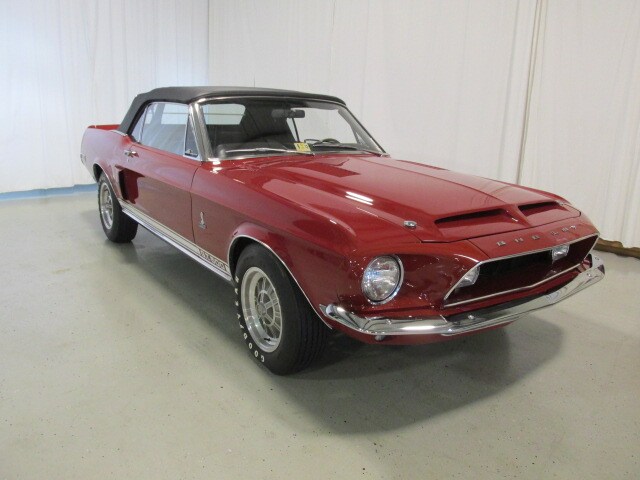 Shelby2