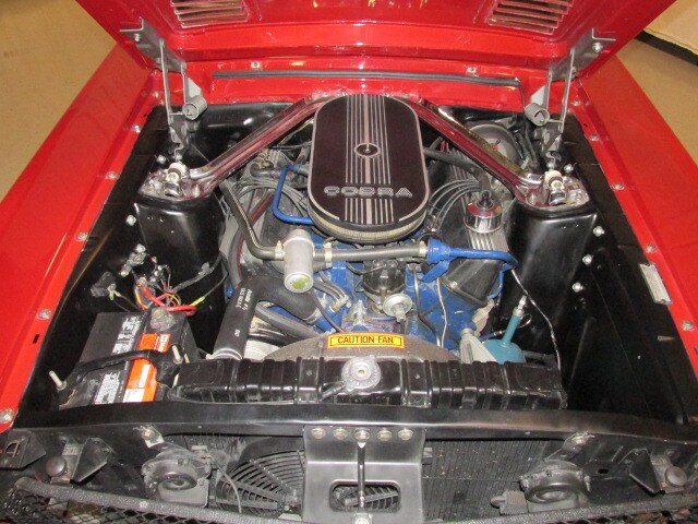 Shelby29
