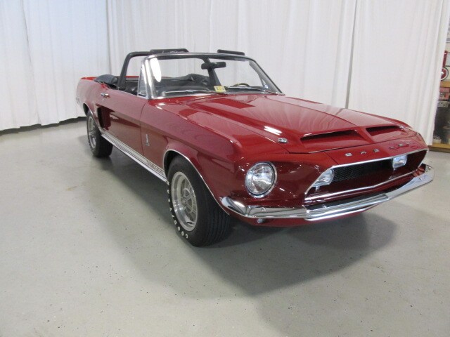 Shelby13
