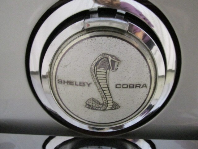 Shelby265