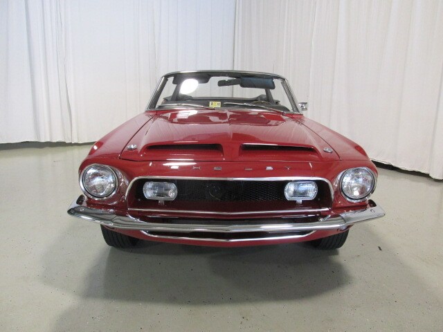 Shelby12