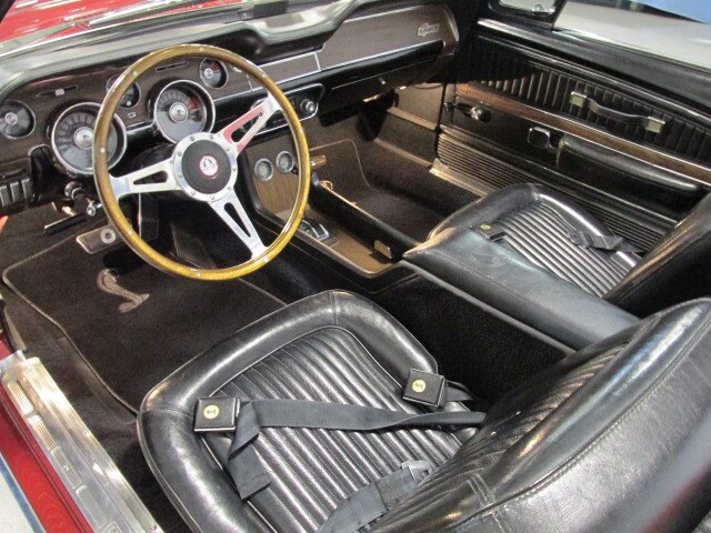 Shelby15