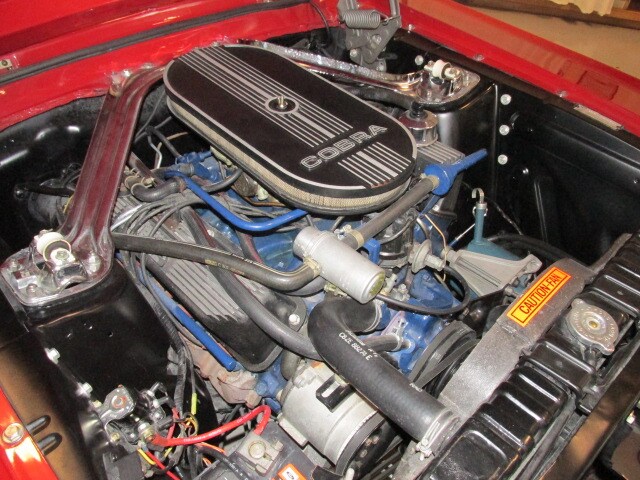 Shelby29