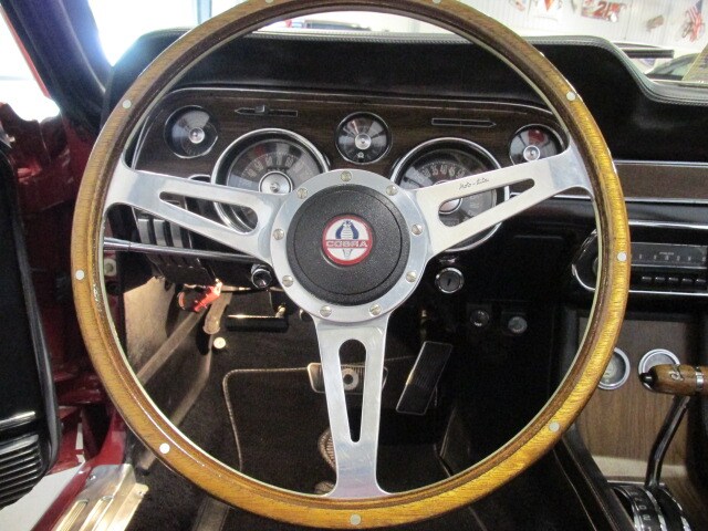 Shelby19