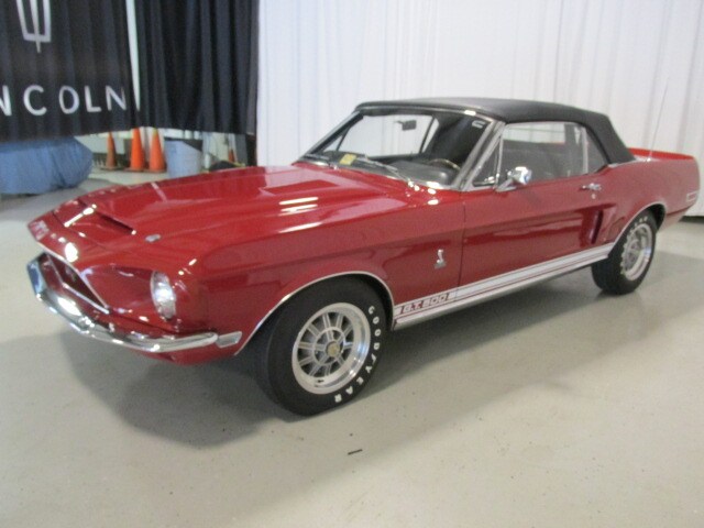 Shelby11