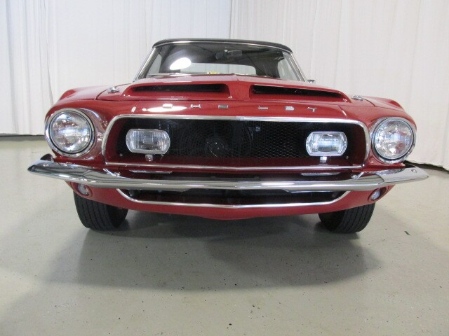 Shelby4