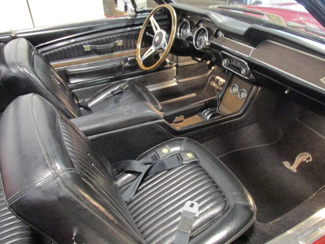 Shelby14