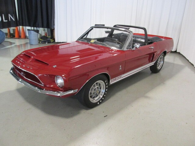 Shelby13