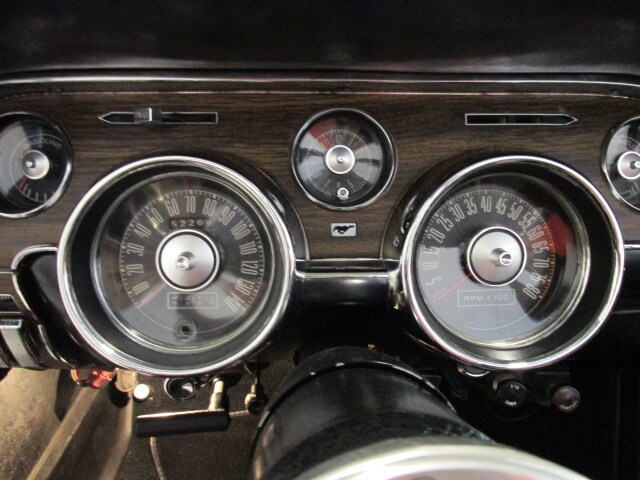 Shelby16