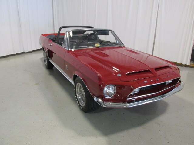 Shelby12