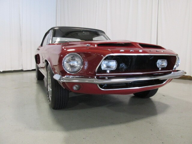 Shelby3