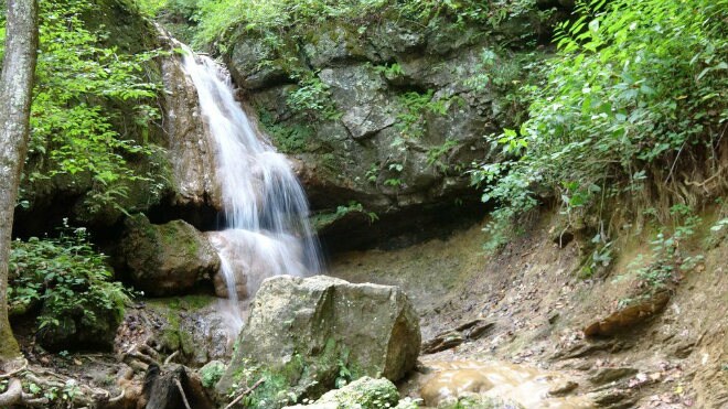 Falls Ridge Preserve.jpg
