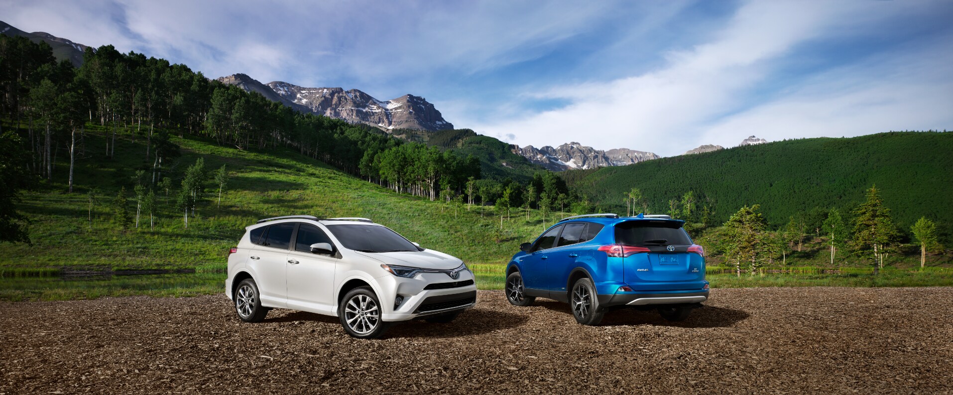 2017 RAV4 Front and Rear View.PNG