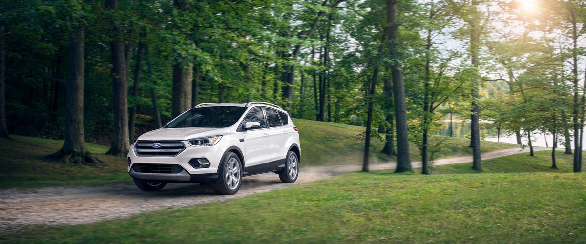 2019 Ford Escape in Jacksonville, FL