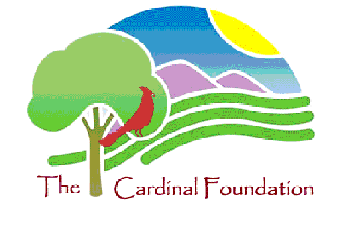 Foundation2.png