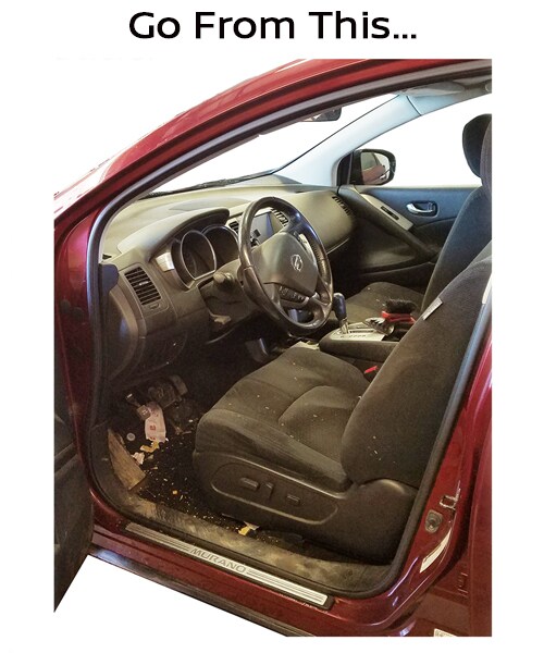 Proclean Before.jpg