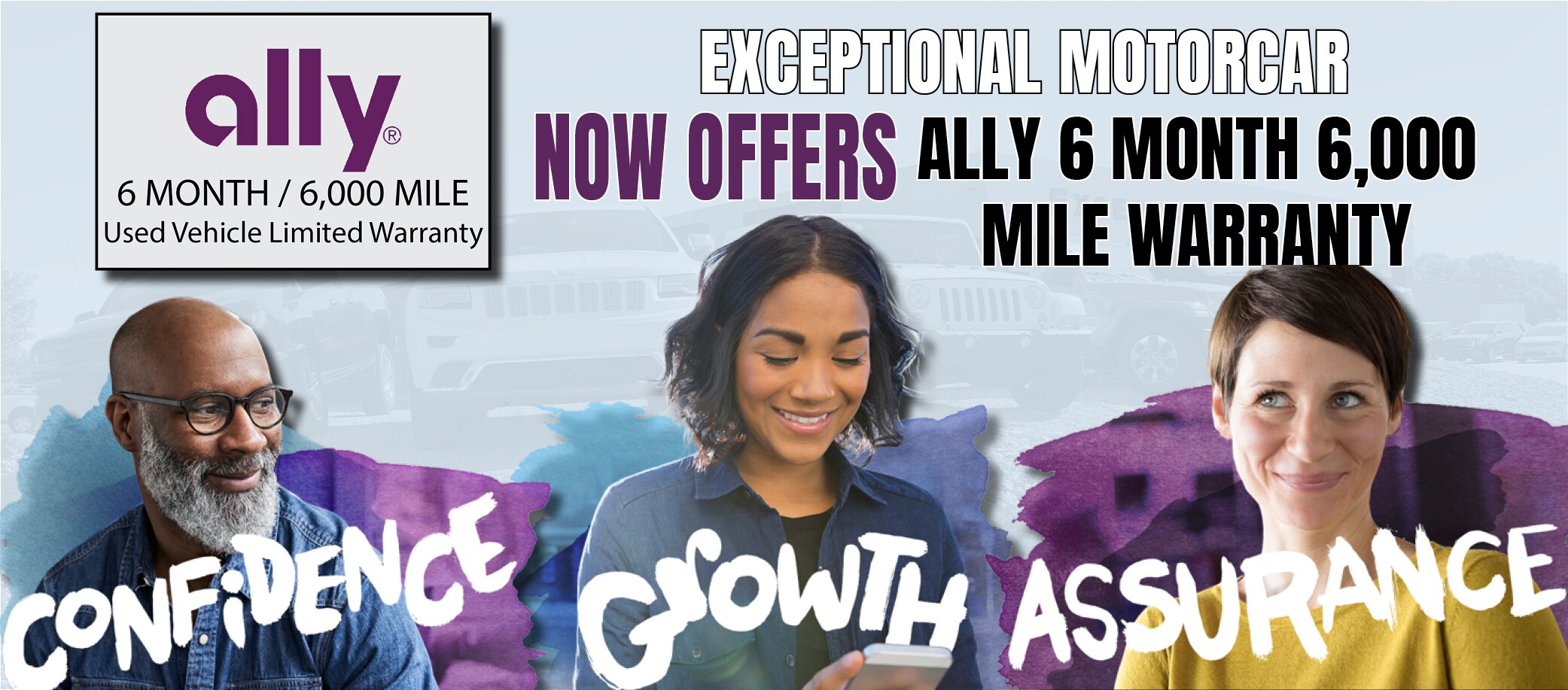 Ally Promotion.png