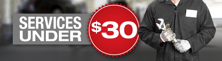 ServicesUnder30Banner.jpg