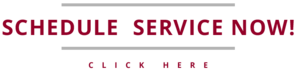 Schedule-Now-Button2.png