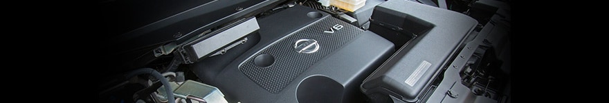 car6.jpg