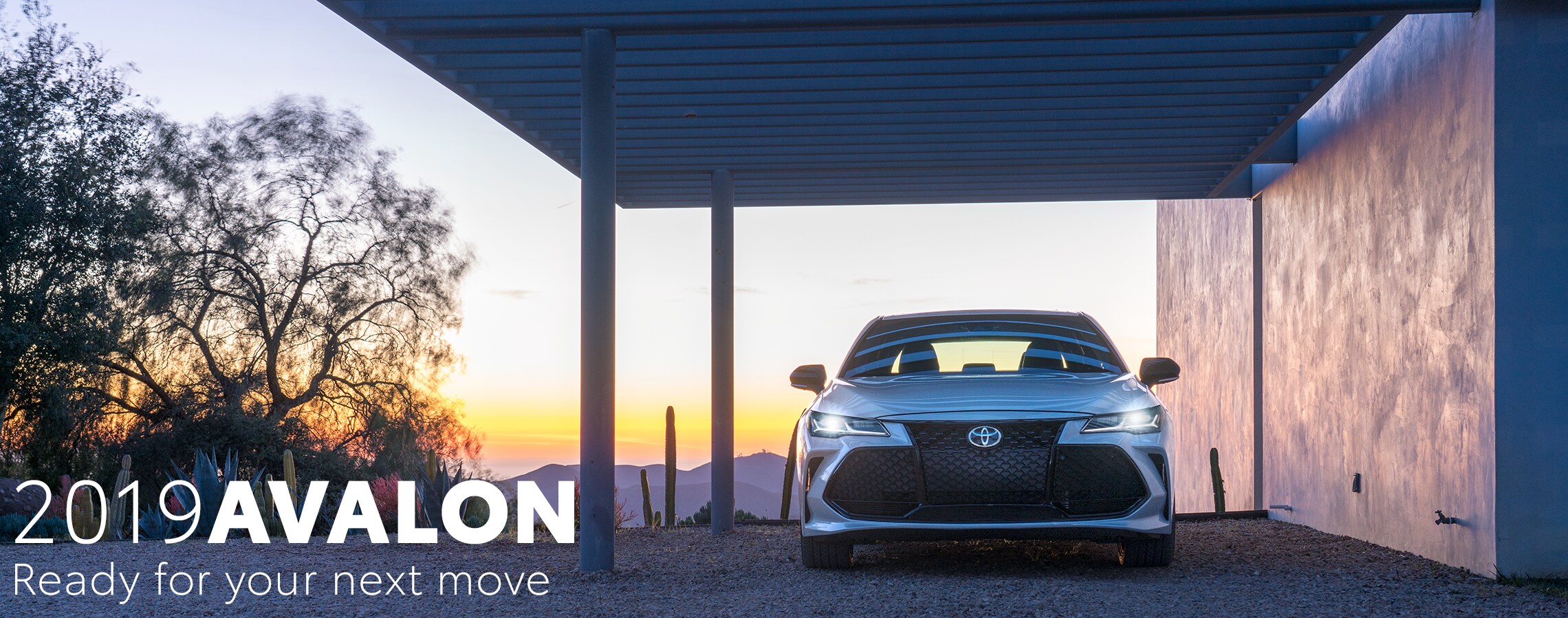 19 Avalon Header.png