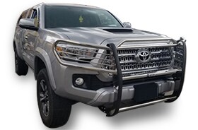 BrushGuard.jpg