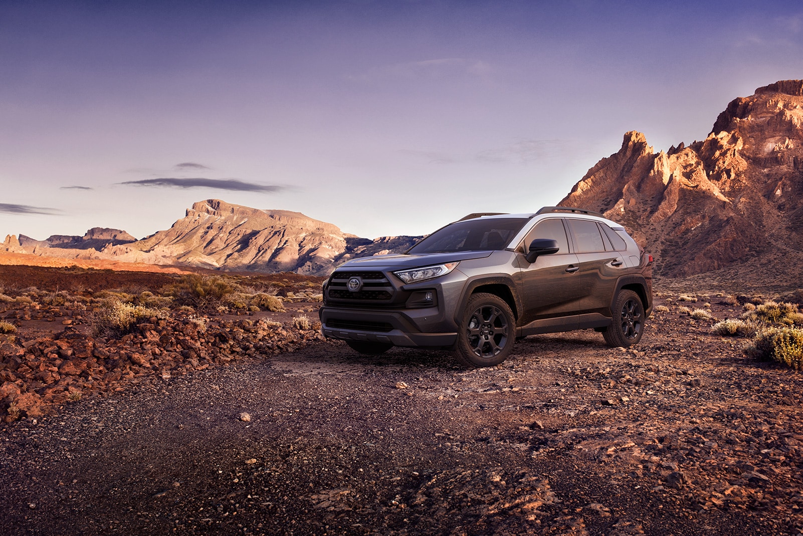 Performance features of the 2020 Toyota RAV4 at Johnstons Toyota | Grey 2020 RAV4 parked on top of a mountain