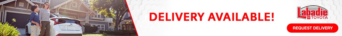 Delivery1-Banner (3).jpg