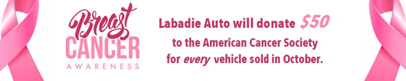 breasstcancerinvbanner-LABADIE (1).png