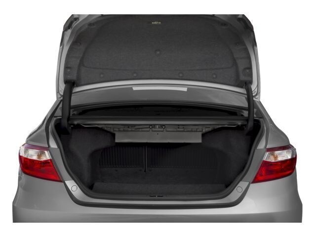 trunk.jpg