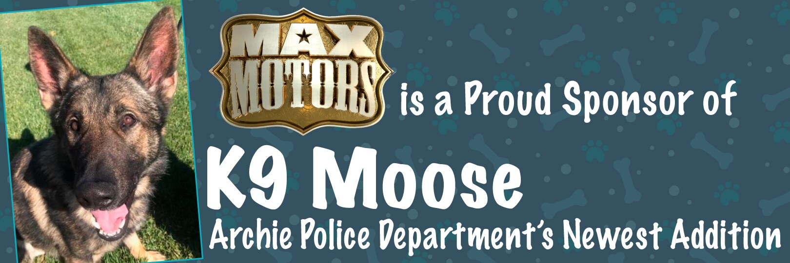 K9Moose.jpg