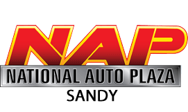 NAP LOGO CANVA copy.png