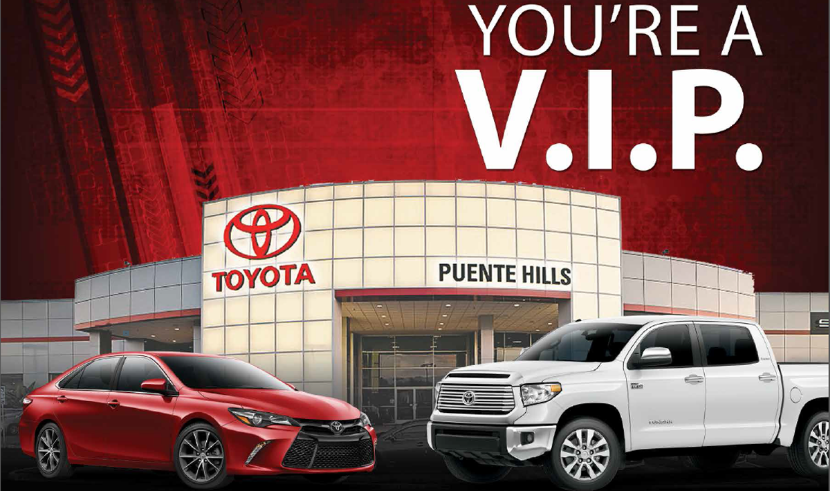 V.I.P Header Image.png