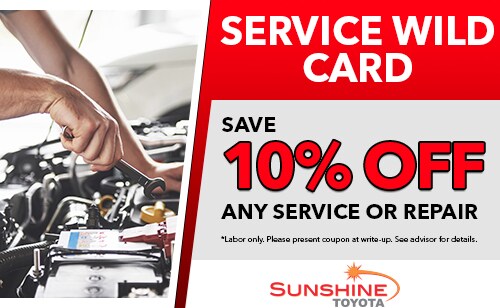 SST-JAN-WILD-CARD-COUPON-01.jpg