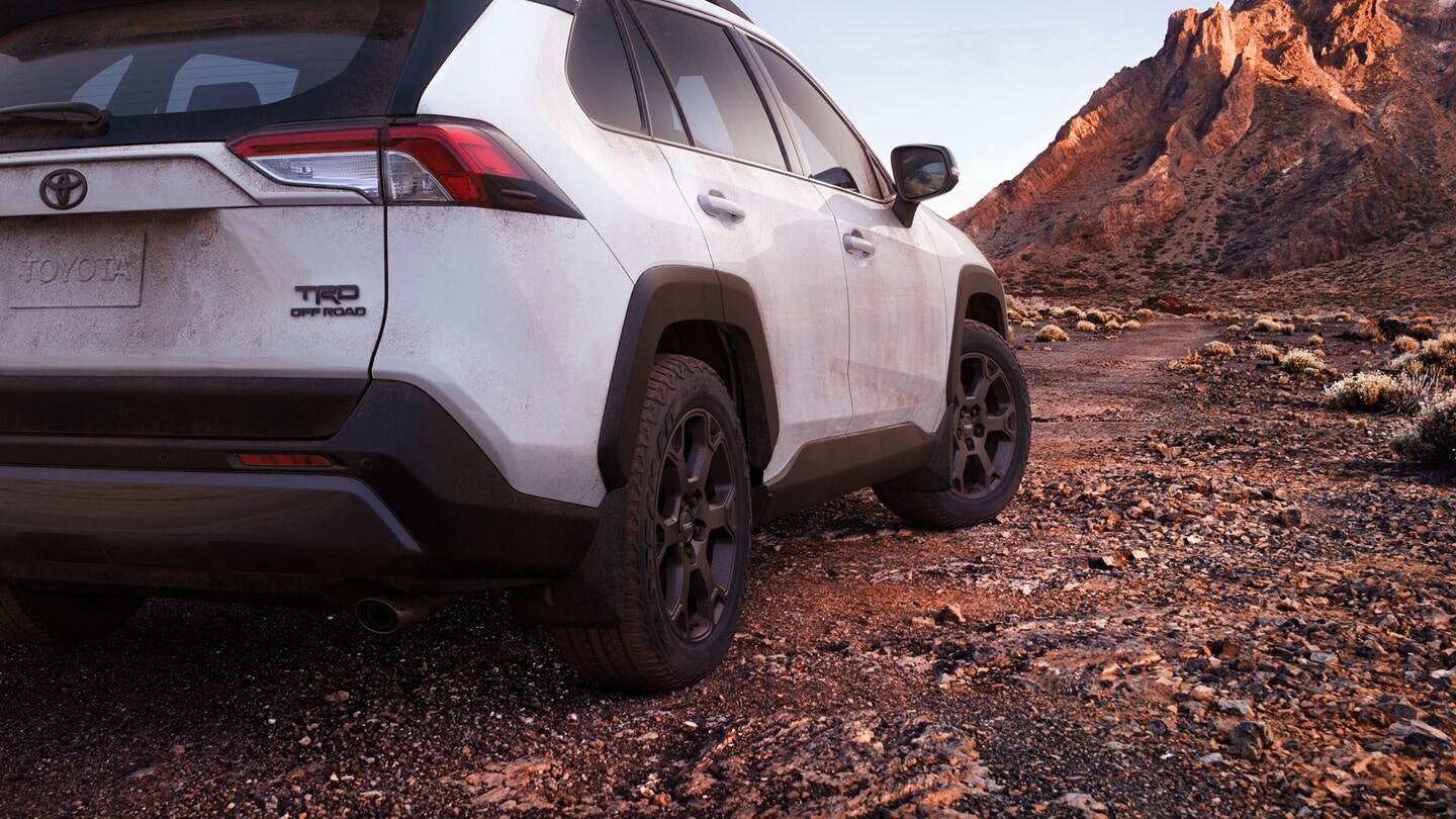 TOYOTA RAV4 in Battle Creek MI.jpeg