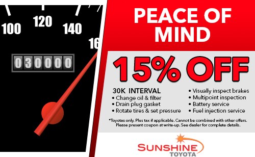 SST-JAN-PEACE-MIND-COUPON-01.jpg