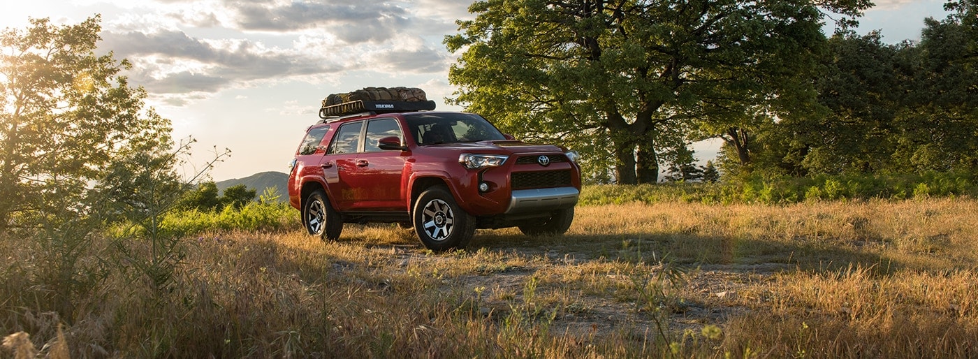 2018 toyota rav4 promo.jpg