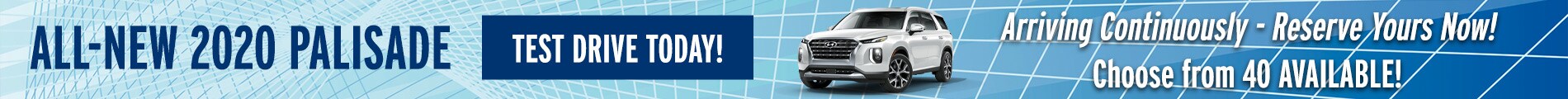 2020-PALISADE-1900x120-Banner.jpg