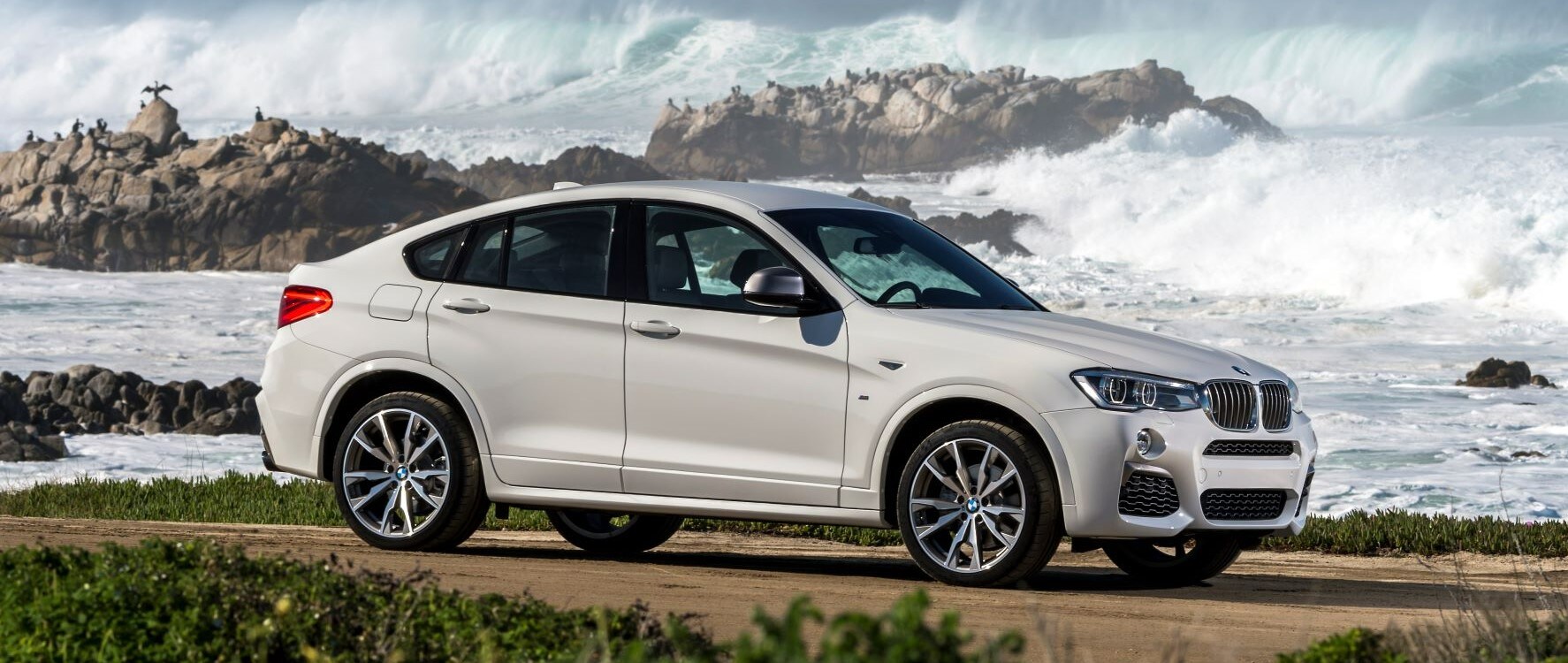 2022 BMW X4 .jpg 2022 BMW X4 in Pleasanton