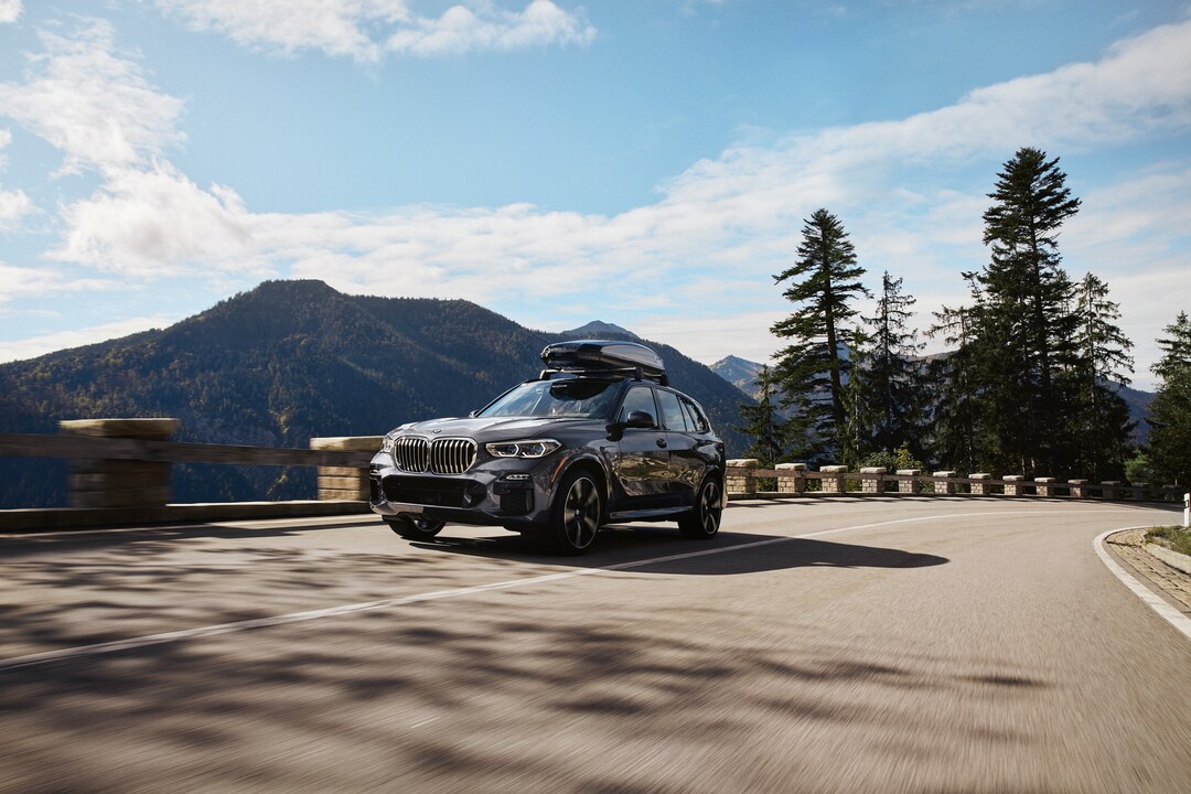 x5 1 2025 BMW X5