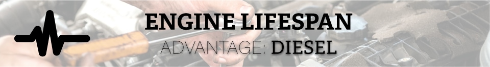 7 - Lifespan.png