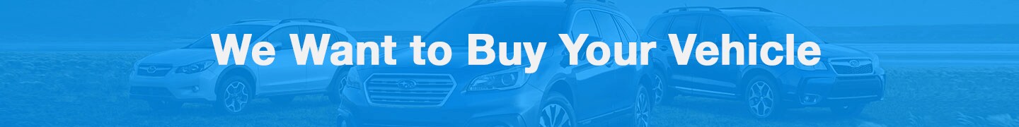 WE-BUY-CARS-3.png