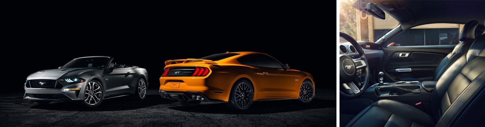 forddealersinnj