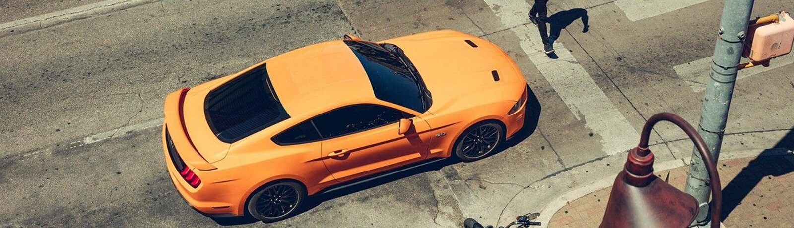 forddealersinnj