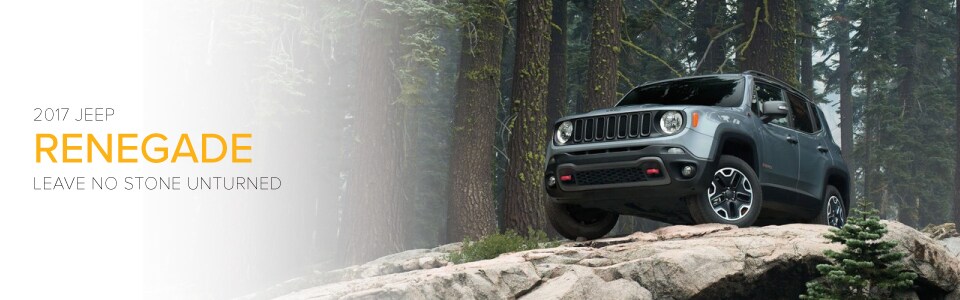 2017_Renegade_header.jpg